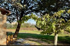 Maison à Cotignac - Mas de la vigne : Mas provençal pour 7 personnes